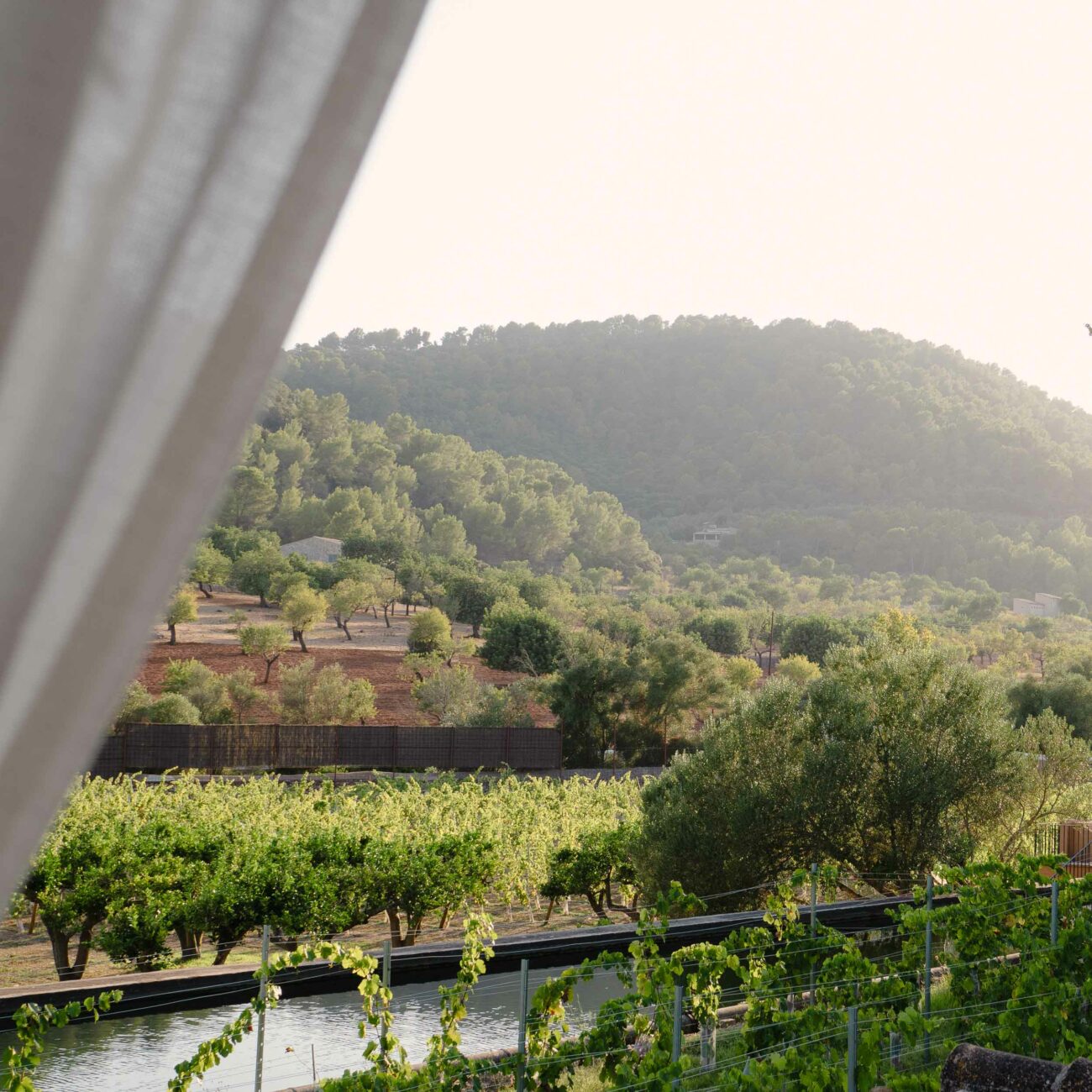 TRVL-DIARY_Mallorca_Rondaia-Hotel-17